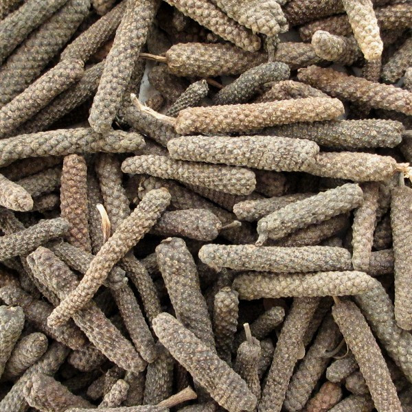 Poivre Long d'Afrique